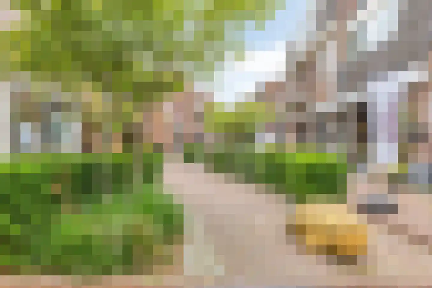 Nijstad 60 Borne thumbnail 25