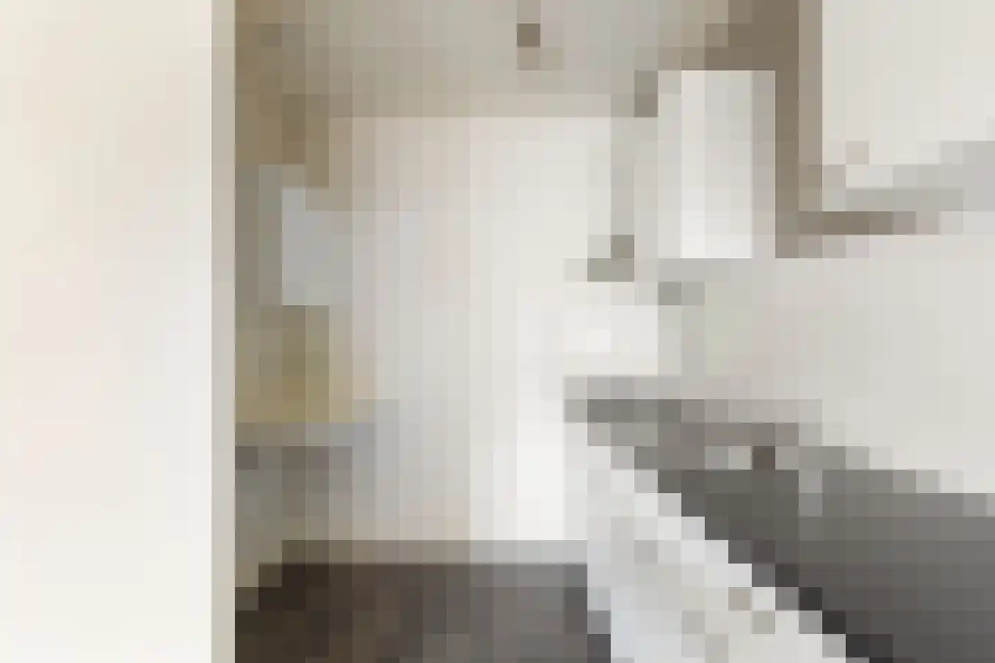 Nijstad 60 Borne thumbnail 9