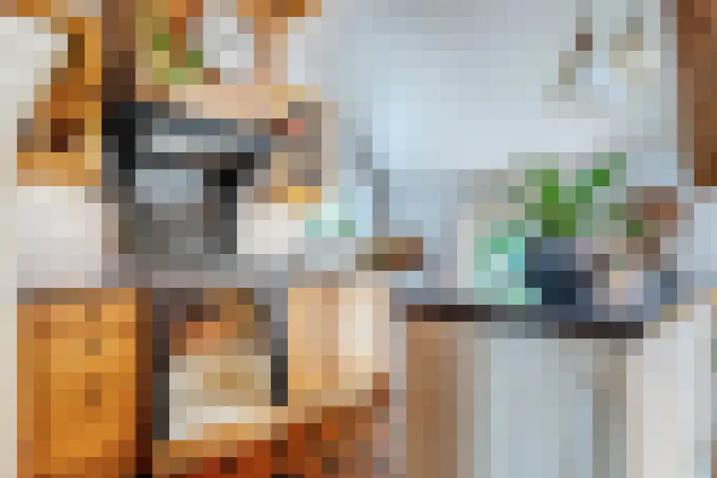 Nijstad 9 Hoogeveen thumbnail 16