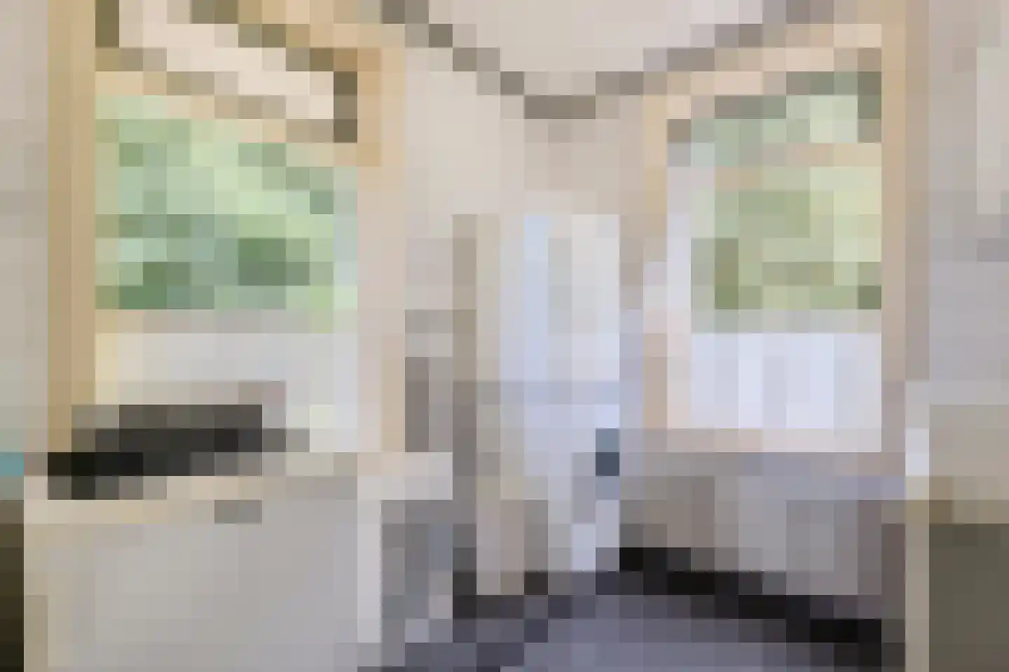 Nijstad 9 Hoogeveen thumbnail 27