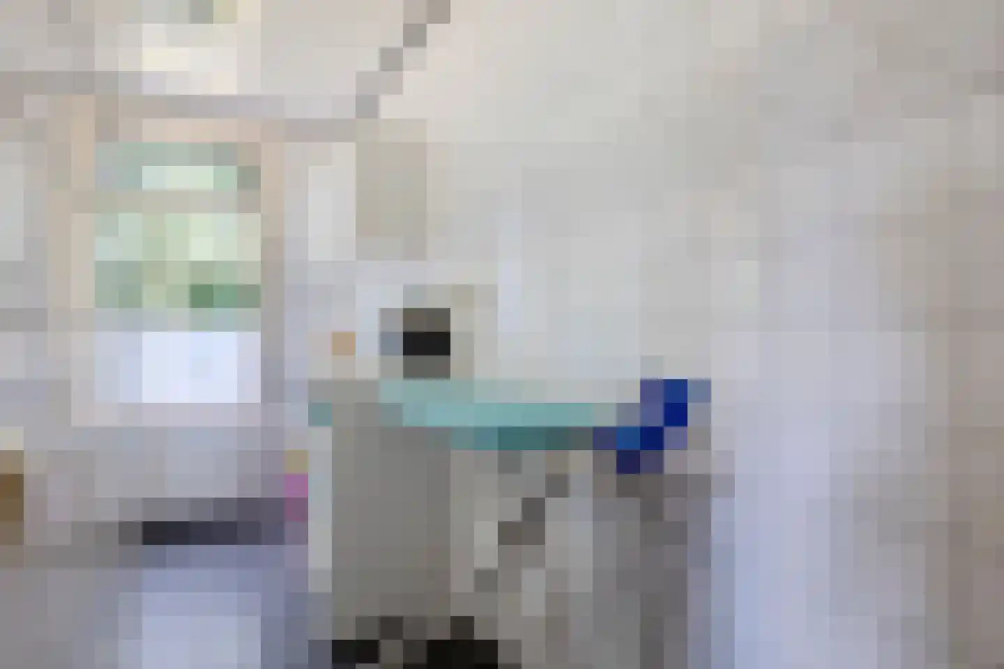 Nijstad 9 Hoogeveen thumbnail 28