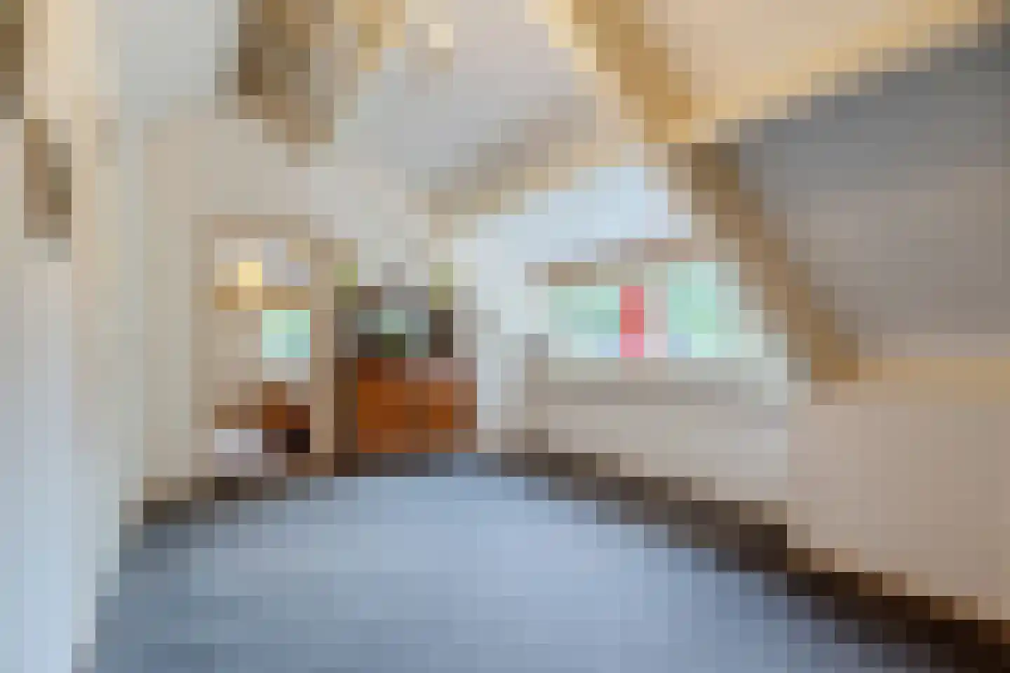Nijstad 9 Hoogeveen thumbnail 31