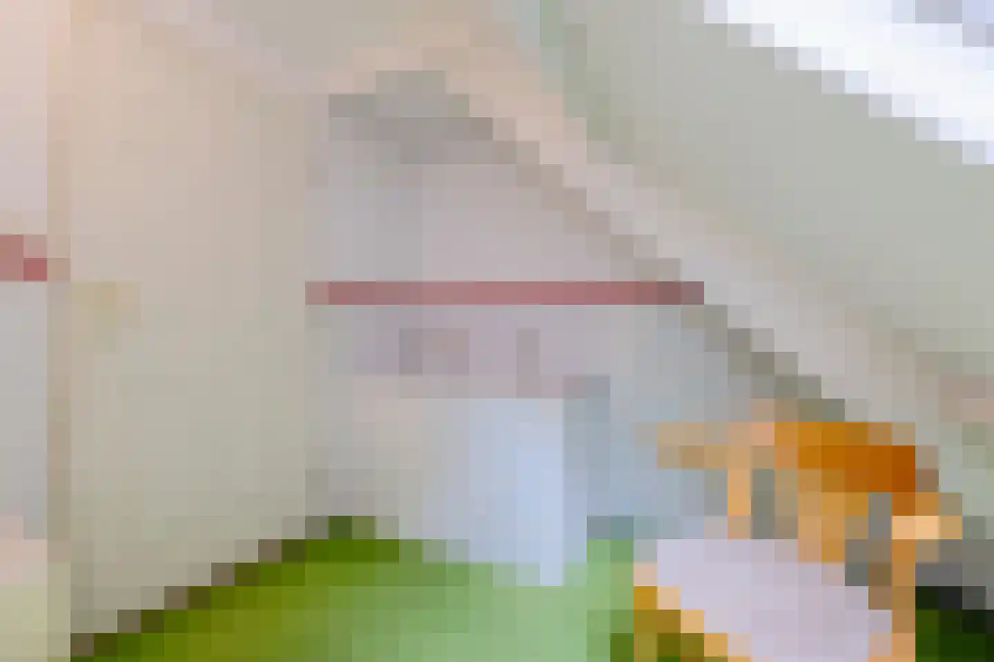 Nijstad 9 Hoogeveen thumbnail 39