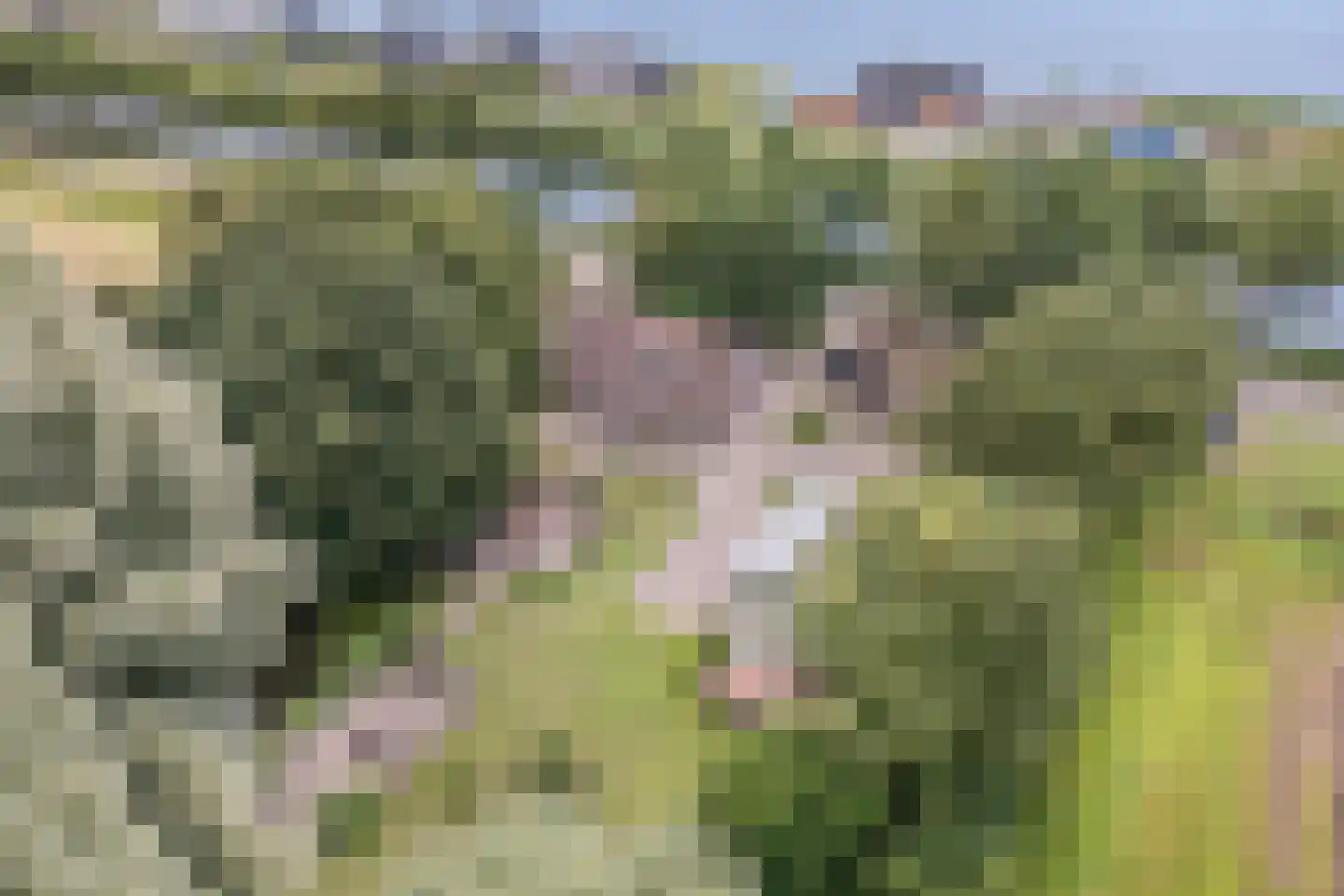 Nijstad 9 Hoogeveen thumbnail 4