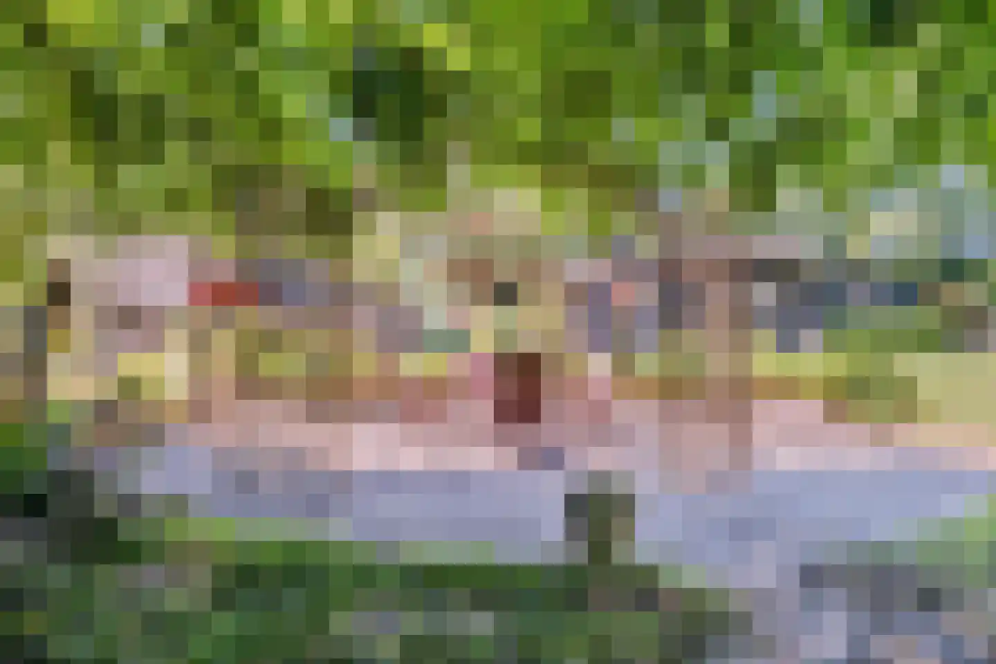 Nijstad 9 Hoogeveen thumbnail 54