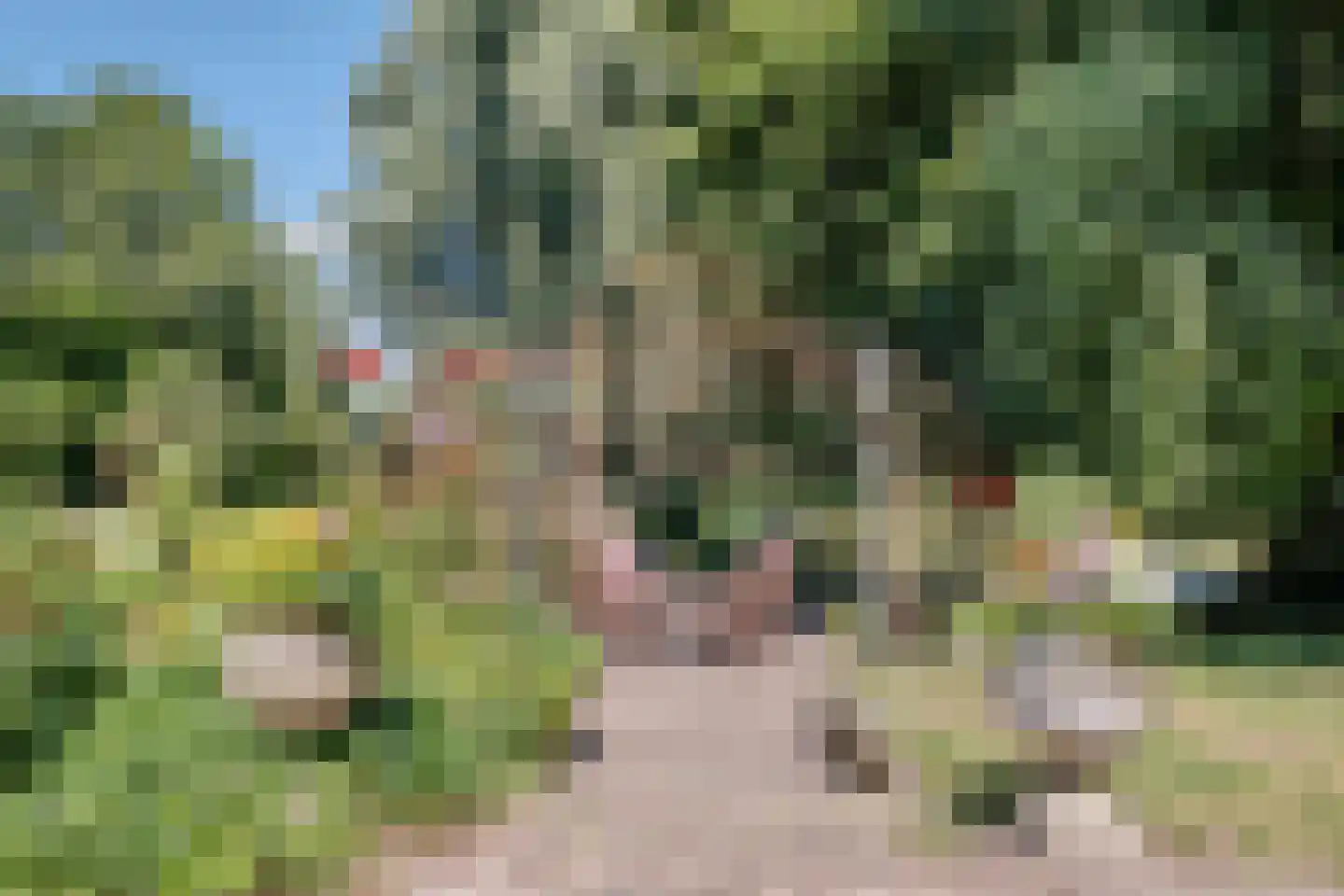 Nijstad 9 Hoogeveen thumbnail 55