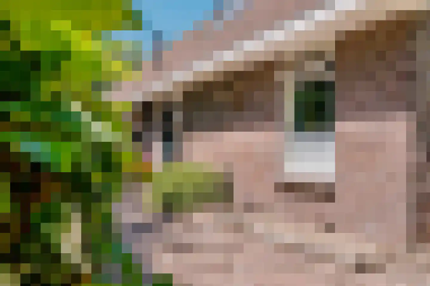Nijstad 9 Hoogeveen thumbnail 6