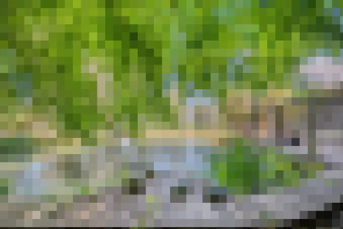 Nijstad 9 Hoogeveen thumbnail 60