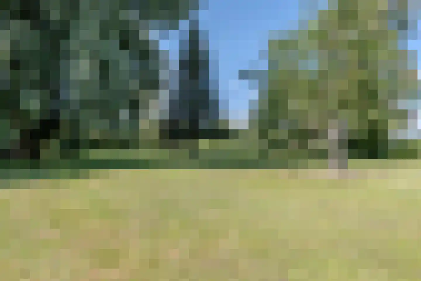 Nijstad 9 Hoogeveen thumbnail 64