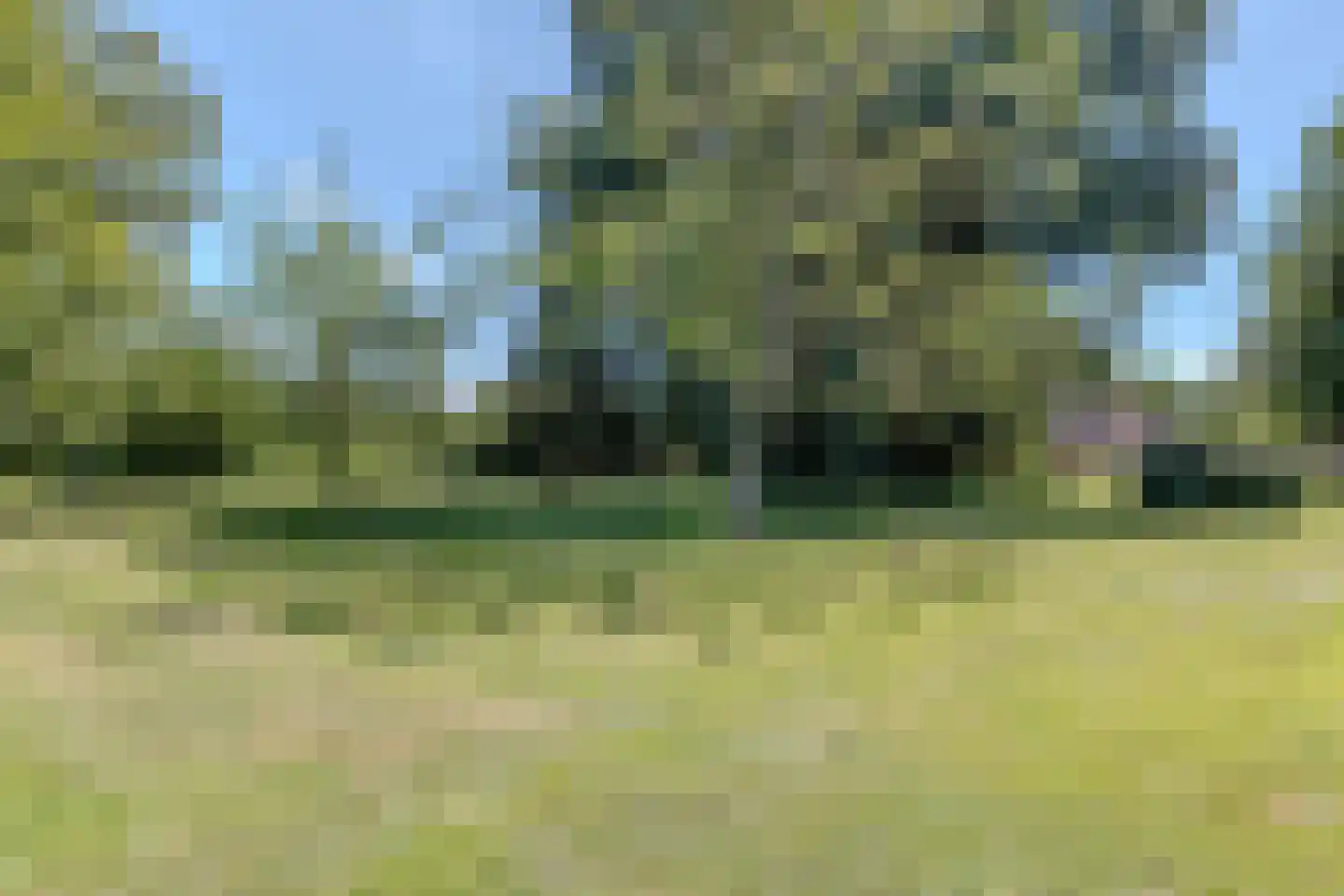 Nijstad 9 Hoogeveen thumbnail 65