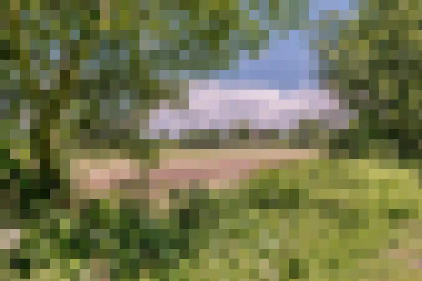Nijstad 9 Hoogeveen thumbnail 66