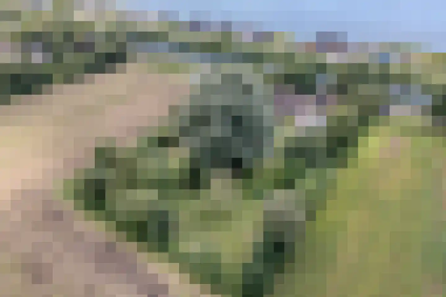 Nijstad 9 Hoogeveen thumbnail 68