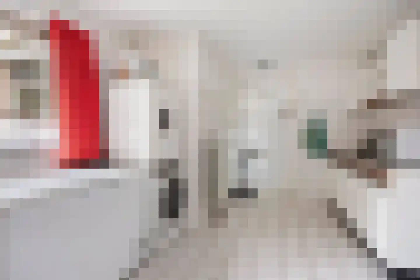 Nijstadsakkers 10 Dwingeloo thumbnail 14