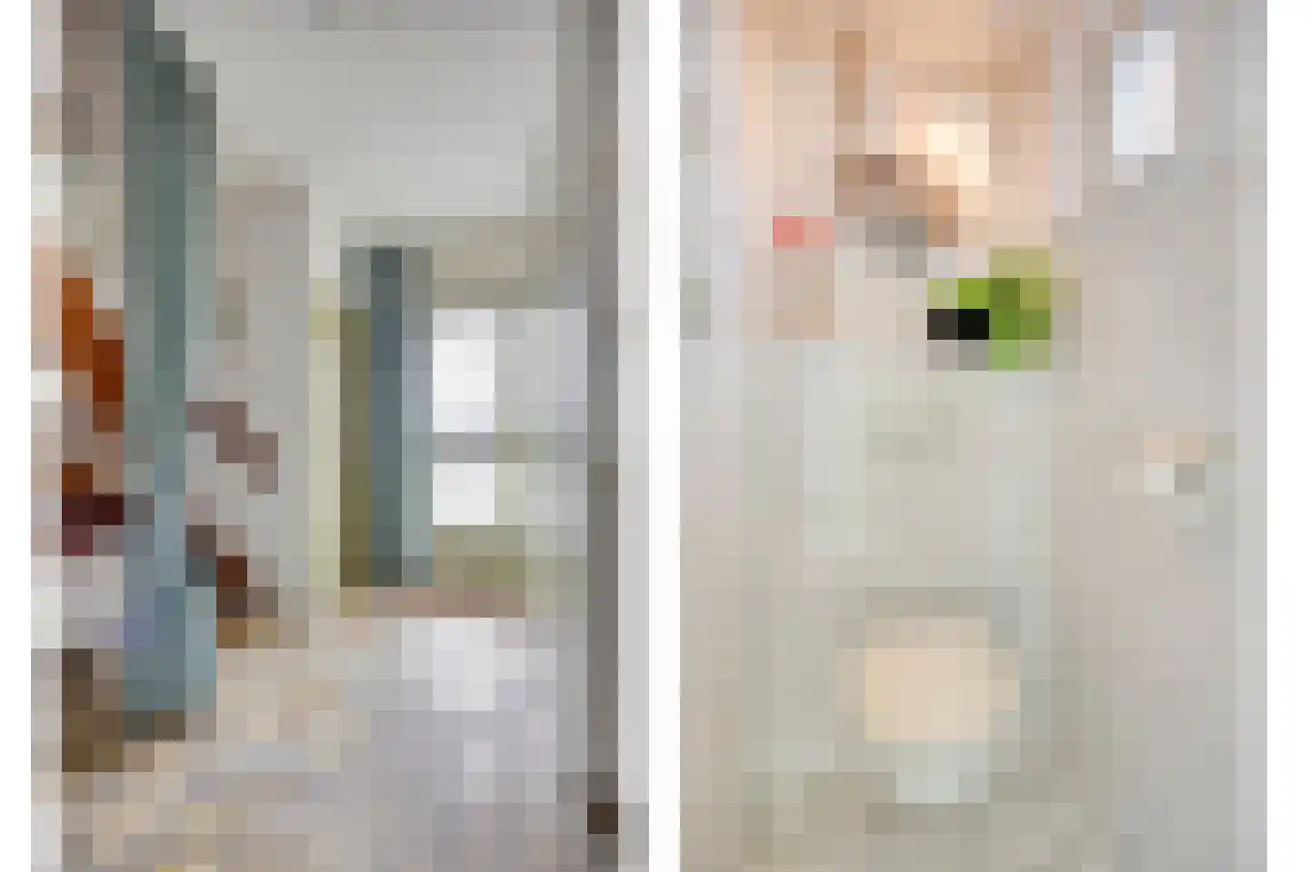 Nijstadsakkers 10 Dwingeloo thumbnail 20