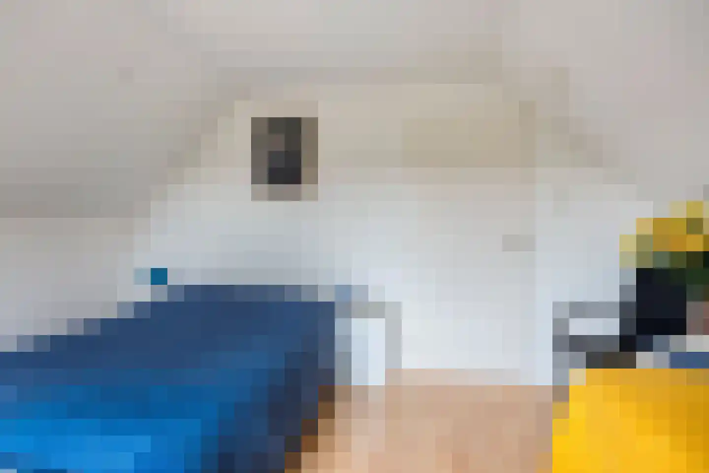 Nijstadsakkers 10 Dwingeloo thumbnail 23