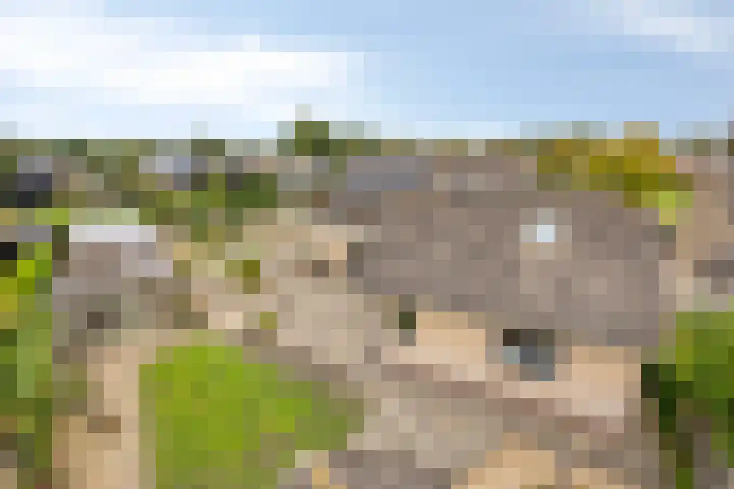 Nijstadsakkers 10 Dwingeloo thumbnail 32