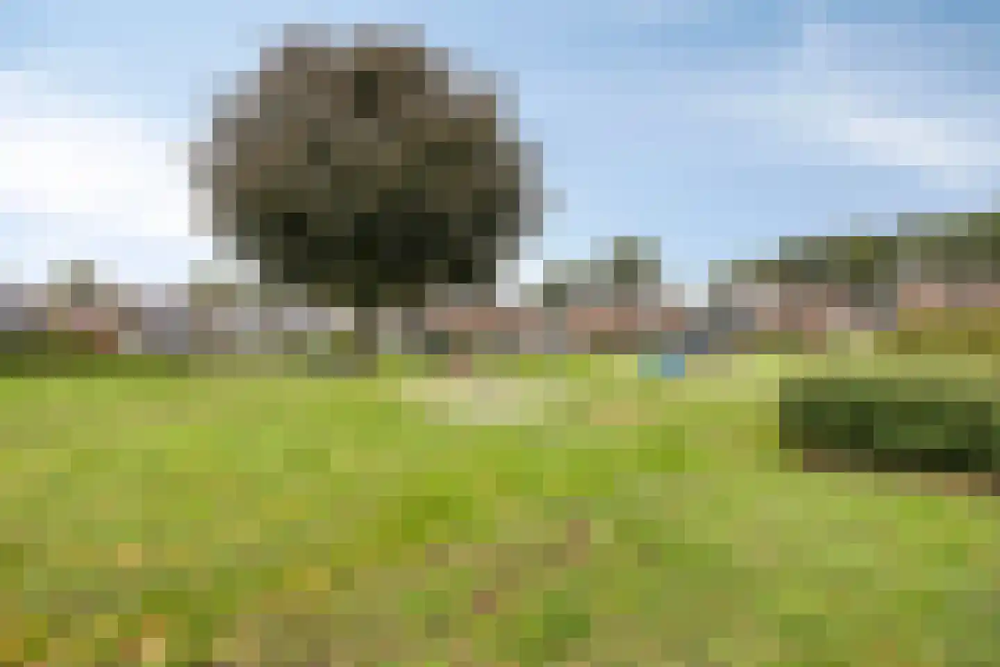Nijstadsakkers 10 Dwingeloo thumbnail 4