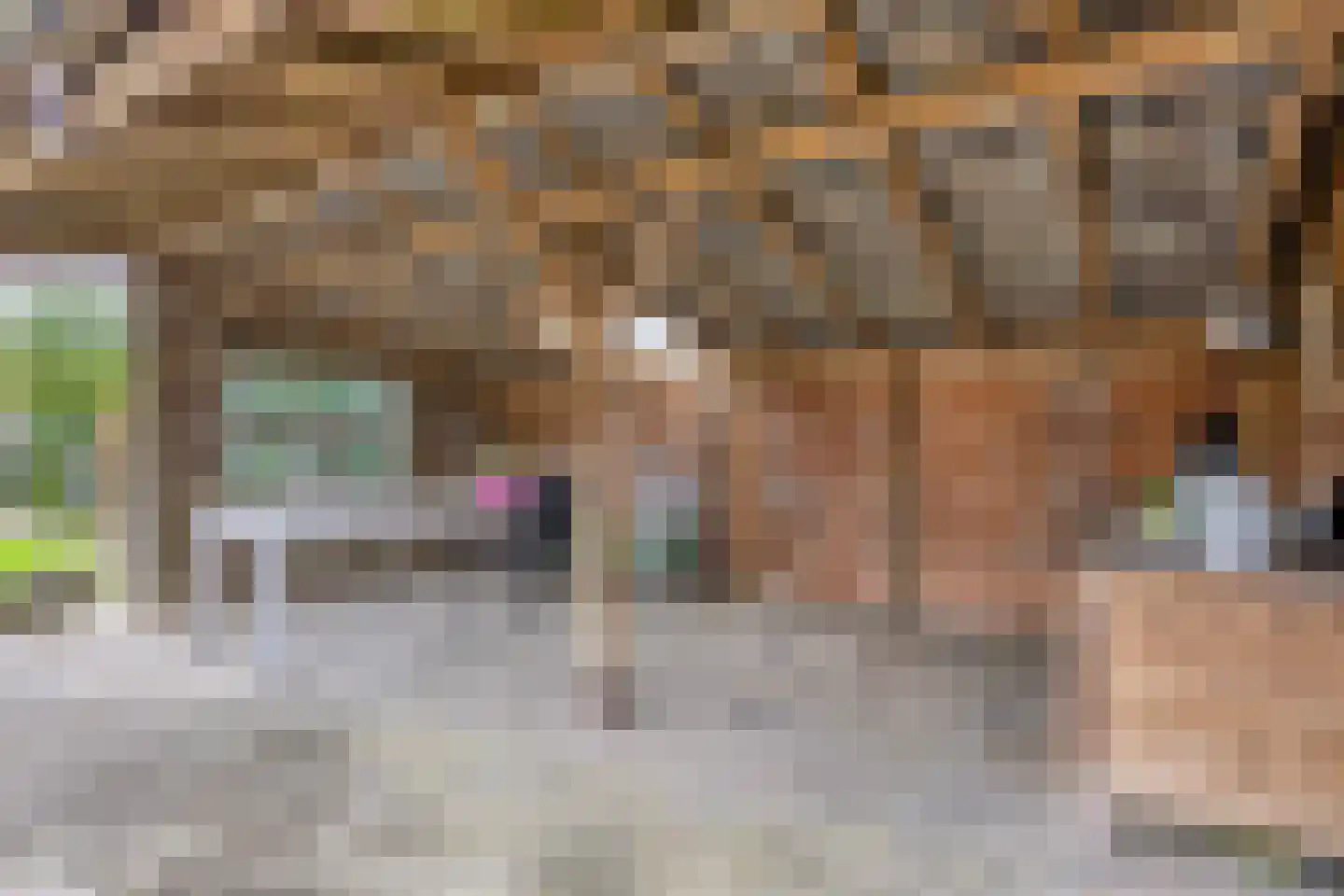 Nijstadsakkers 10 Dwingeloo thumbnail 41