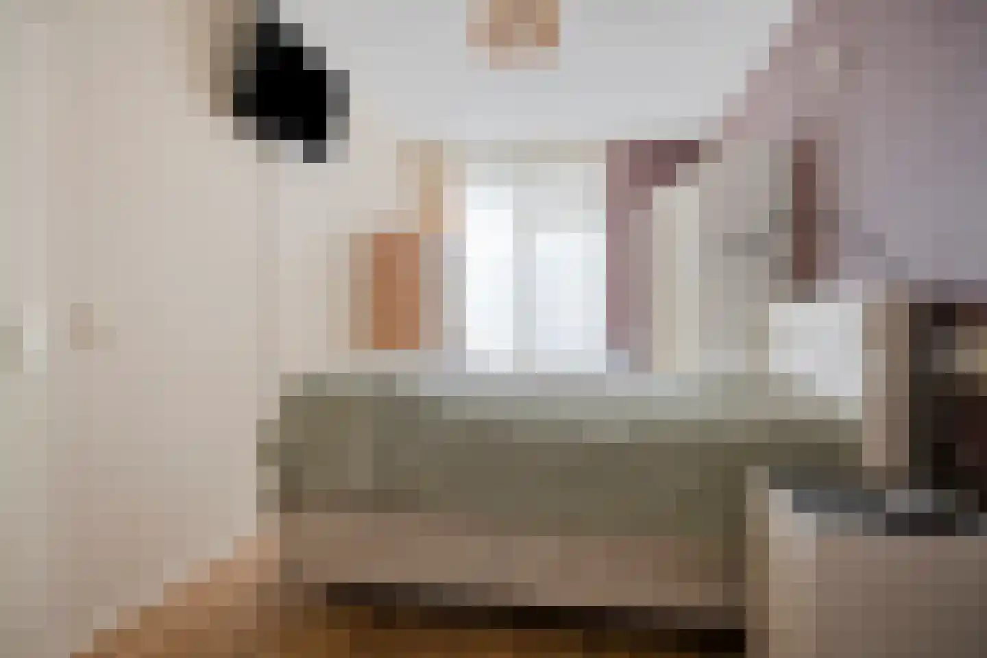 Nijstadsakkers 15 a Dwingeloo thumbnail 10