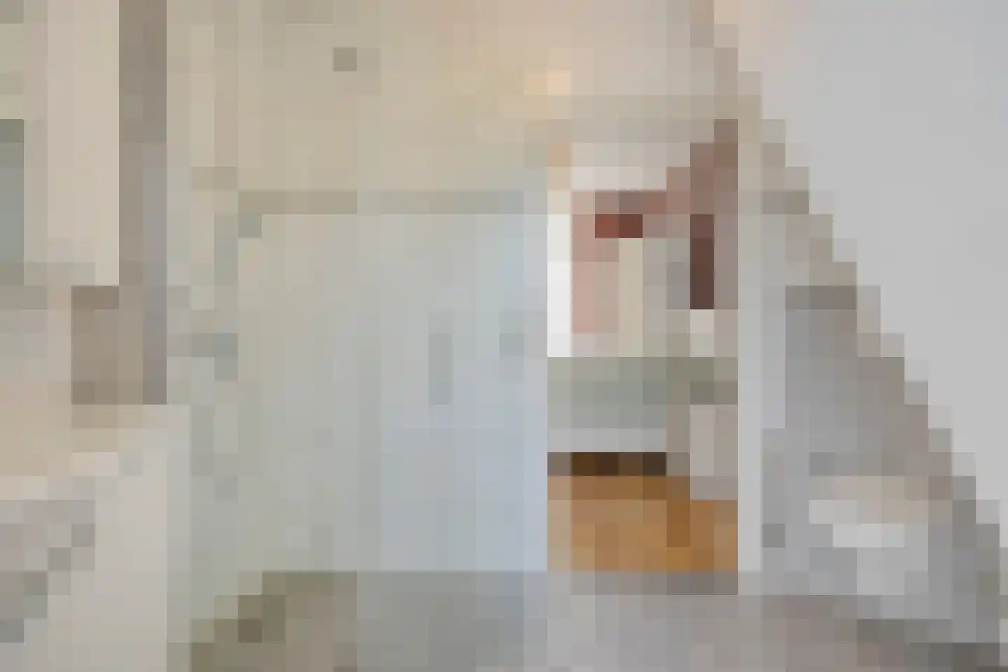 Nijstadsakkers 15 a Dwingeloo thumbnail 12