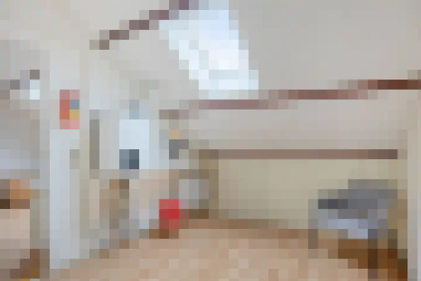 Nijstadsakkers 15 a Dwingeloo thumbnail 21