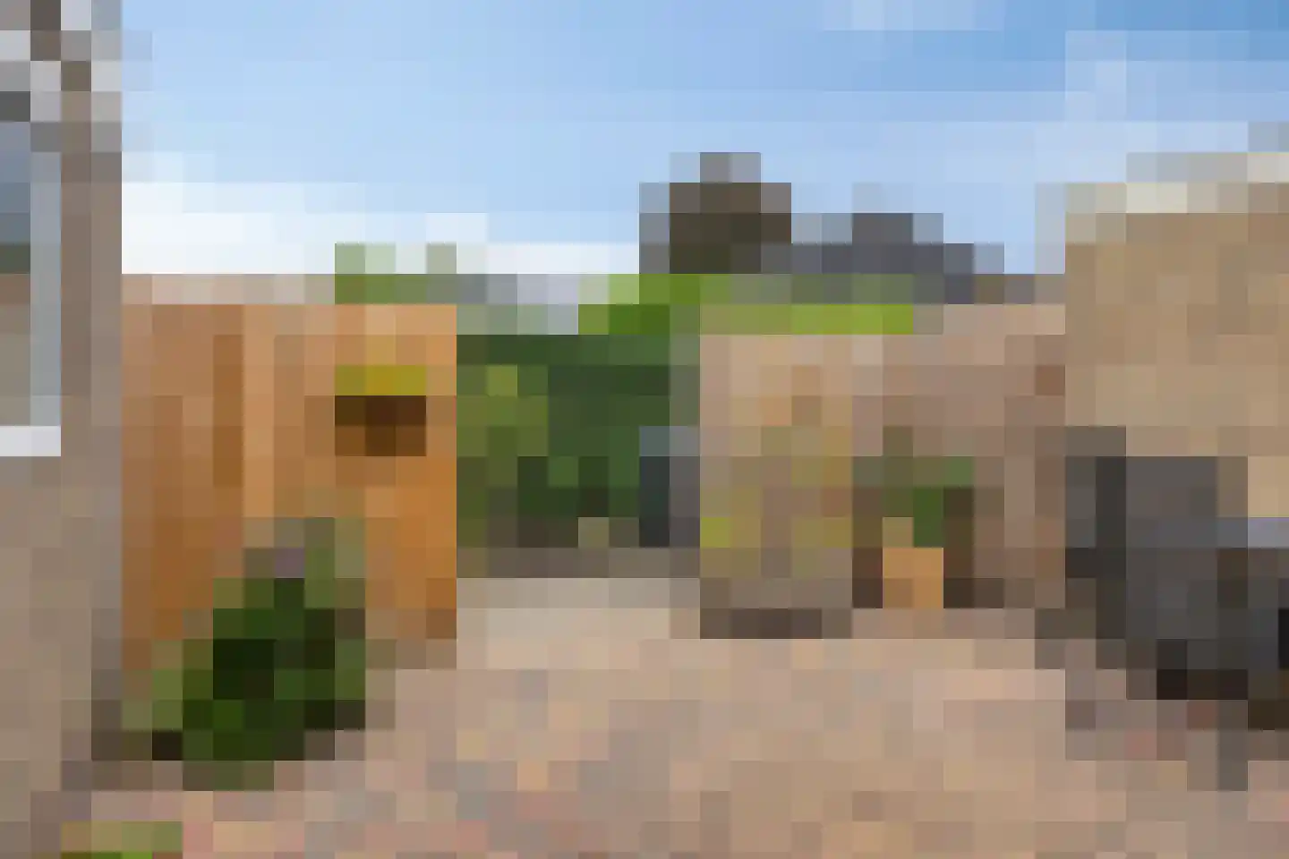 Nijstadsakkers 15 a Dwingeloo thumbnail 25