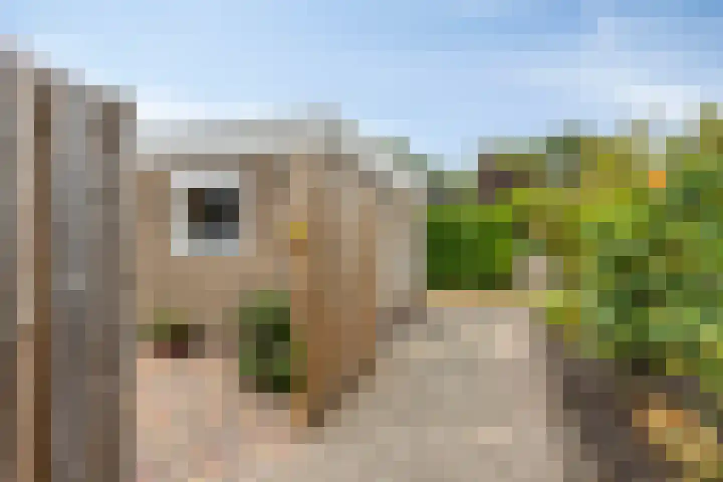 Nijstadsakkers 15 a Dwingeloo thumbnail 26