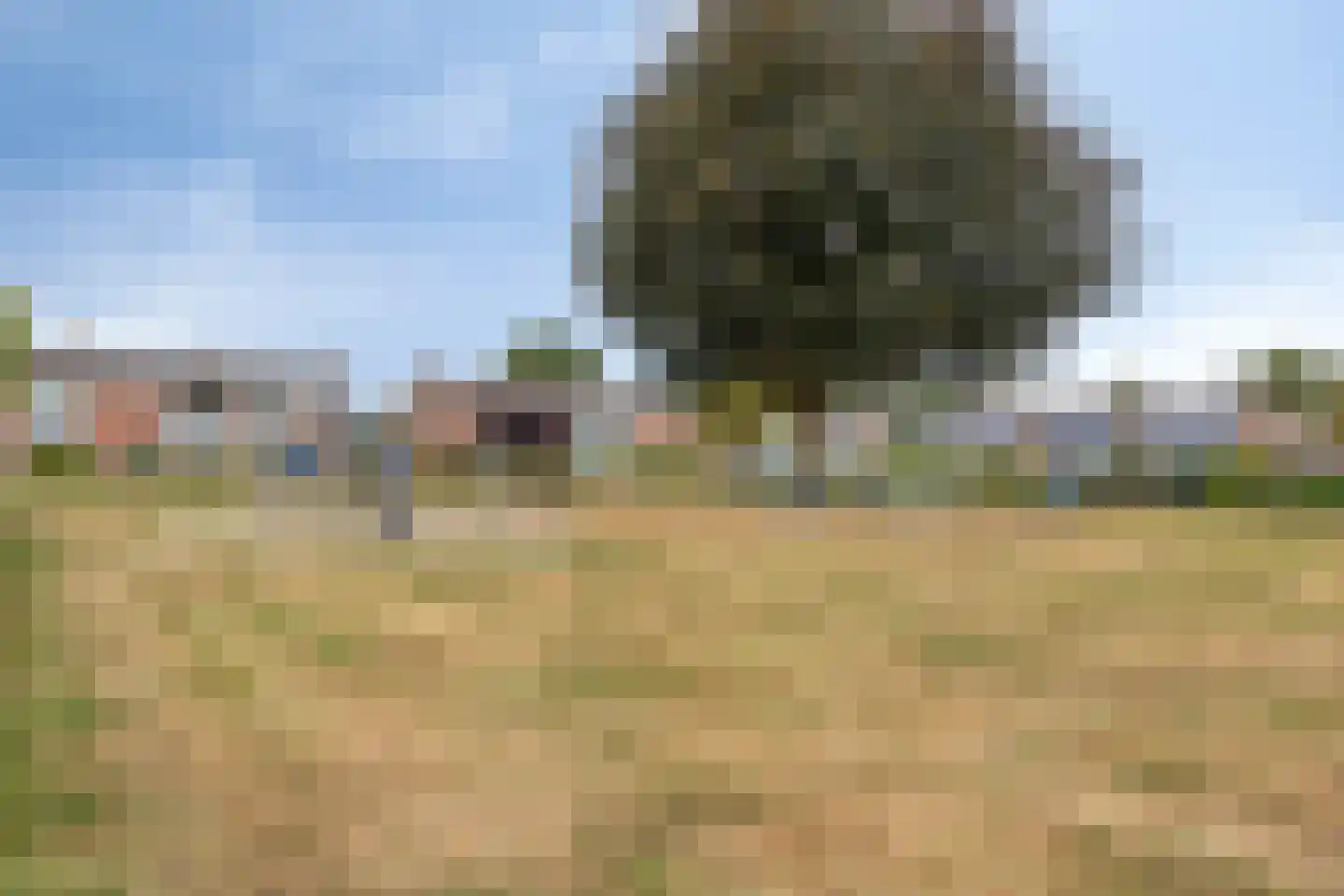 Nijstadsakkers 15 a Dwingeloo thumbnail 33