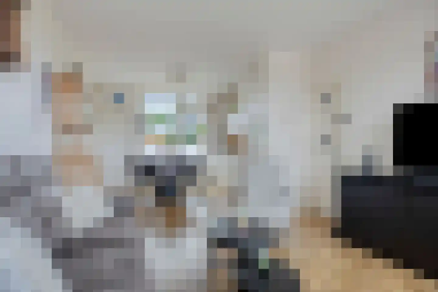 Nijstadsakkers 15 a Dwingeloo thumbnail 4