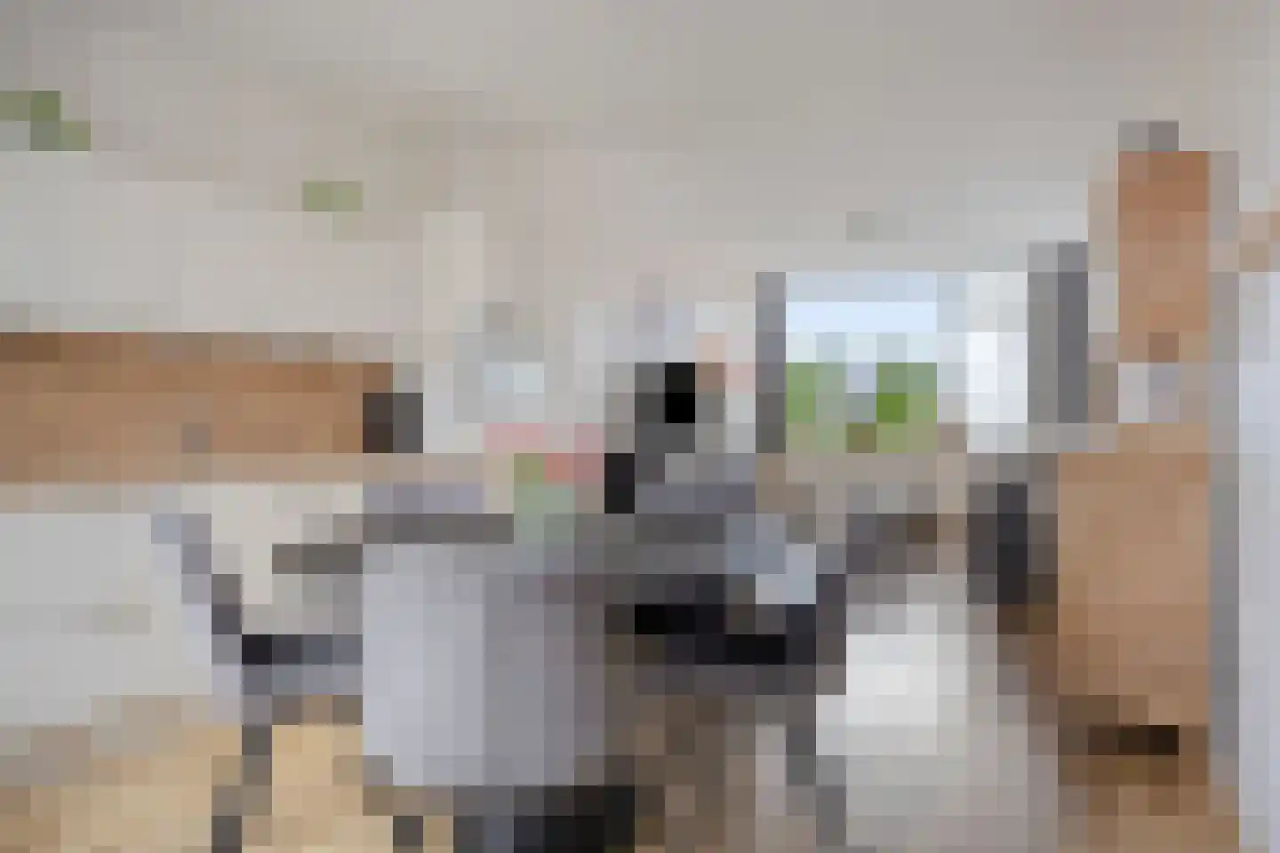Nijstadsakkers 15 a Dwingeloo thumbnail 6