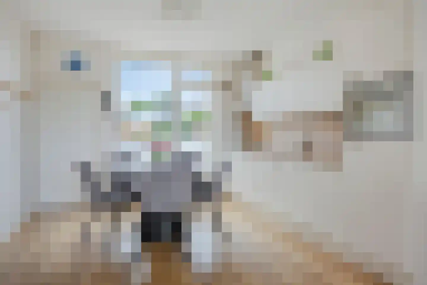 Nijstadsakkers 15 a Dwingeloo thumbnail 7