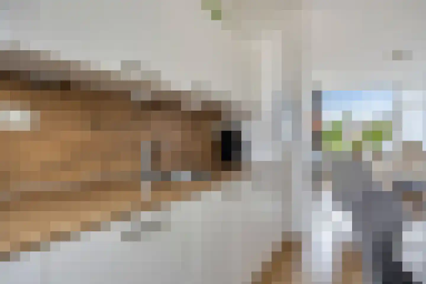 Nijstadsakkers 15 a Dwingeloo thumbnail 8