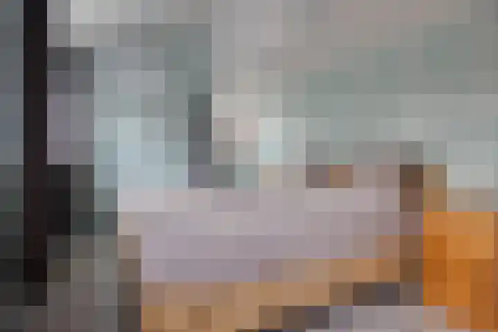 Nijstadsakkers 22 Dwingeloo thumbnail 12