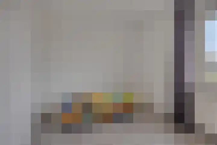 Nijstadsakkers 22 Dwingeloo thumbnail 14