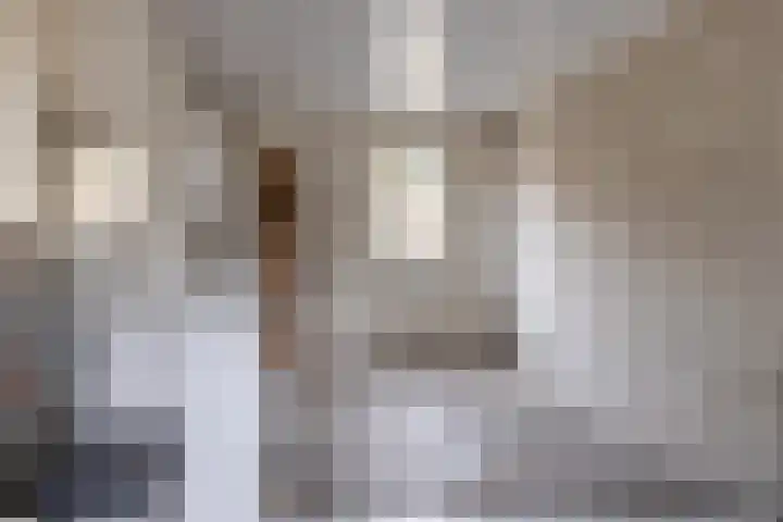 Nijstadsakkers 22 Dwingeloo thumbnail 21
