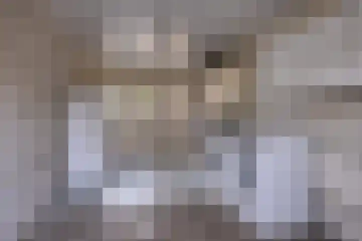Nijstadsakkers 22 Dwingeloo thumbnail 22
