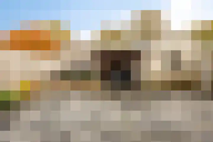 Nijstadsakkers 22 Dwingeloo thumbnail 23