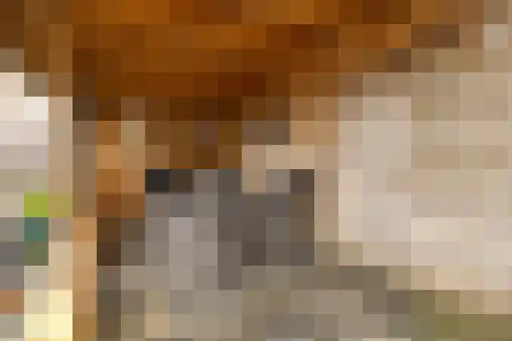 Nijstadsakkers 22 Dwingeloo thumbnail 24