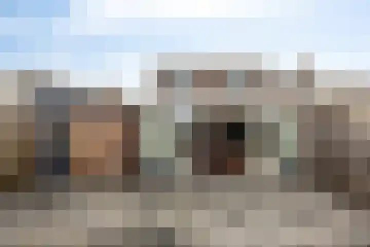 Nijstadsakkers 22 Dwingeloo thumbnail 26