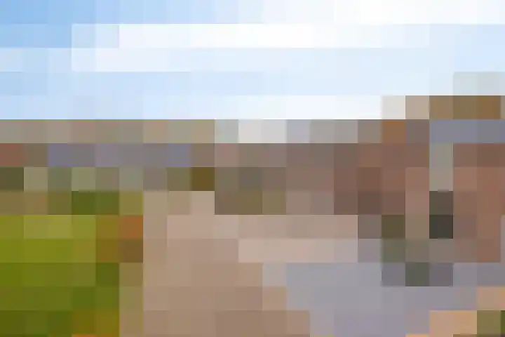 Nijstadsakkers 22 Dwingeloo thumbnail 30