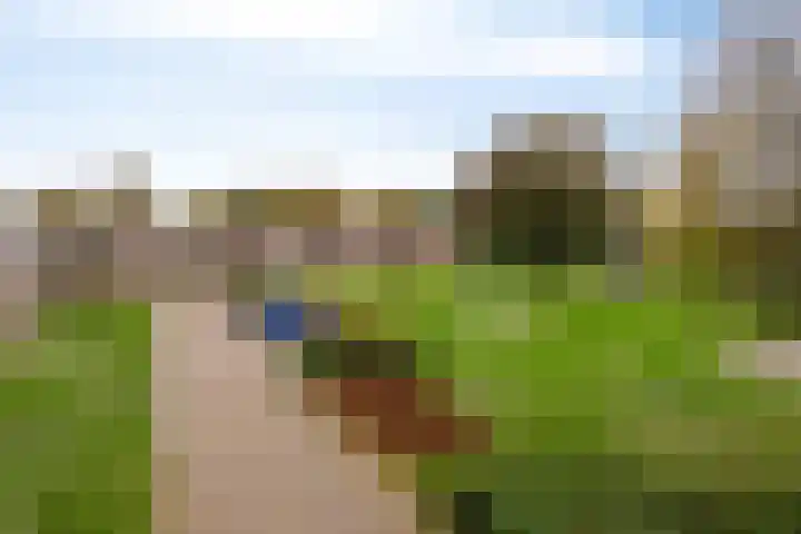 Nijstadsakkers 22 Dwingeloo thumbnail 31