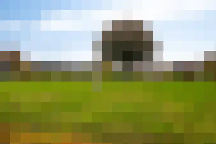 Nijstadsakkers 22 Dwingeloo thumbnail 32