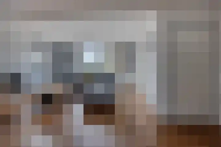 Nijstadsakkers 22 Dwingeloo thumbnail 5