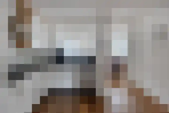 Nijstadsakkers 22 Dwingeloo thumbnail 6