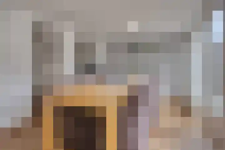 Nijstadsakkers 22 Dwingeloo thumbnail 9