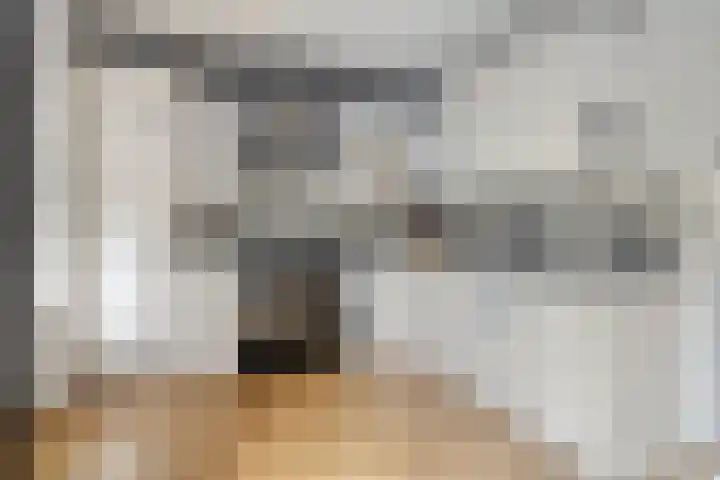 Nijstukken 110 Assen thumbnail 10