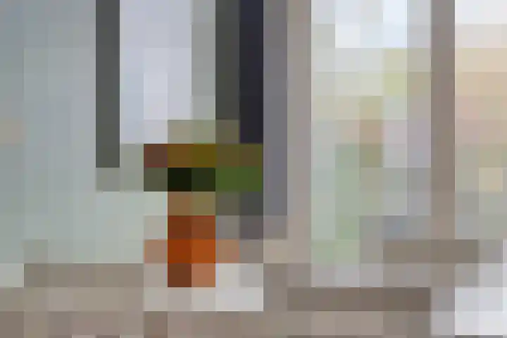 Nijstukken 110 Assen thumbnail 14