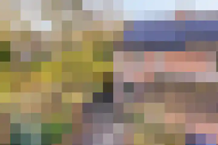 Nijstukken 110 Assen thumbnail 39