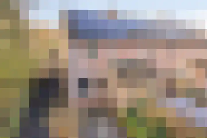 Nijstukken 110 Assen thumbnail 40