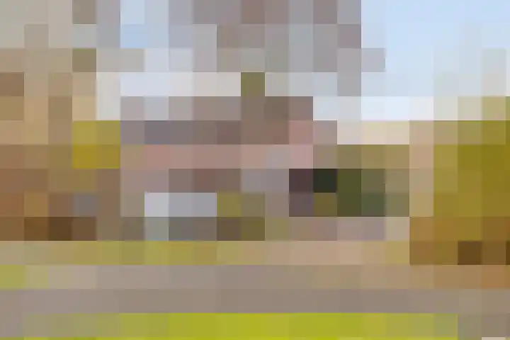 Nijstukken 110 Assen thumbnail 45